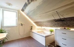Badezimmerdecke mit PLAMECO renovieren - feuchtigkeitsbeständig